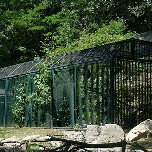 Canadian lynx enclosure