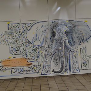 Graphicses in the station queues U-bahn by the Zoo