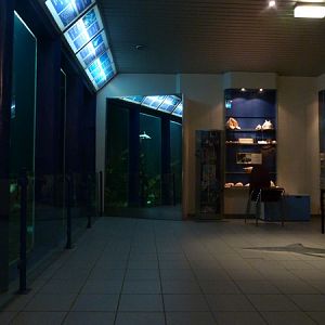 Shark/barracuda tank