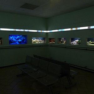 Coral reef tanks