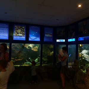 Medditeranean Sea tanks