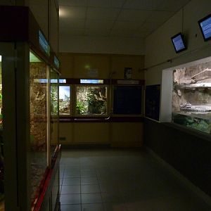 Reptile and amphibian enclosures