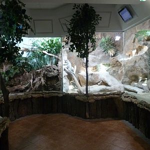 Reptile enclosures