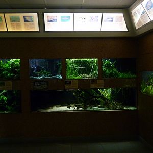 Freshwater tanks