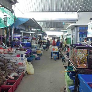 Fish market- Chatuchak market, June 2013.