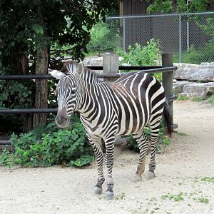 Assiniboine Park Zoo - july 2013