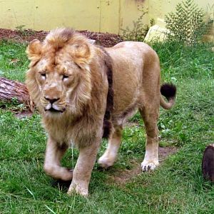 Assiniboine Park Zoo - july 2013