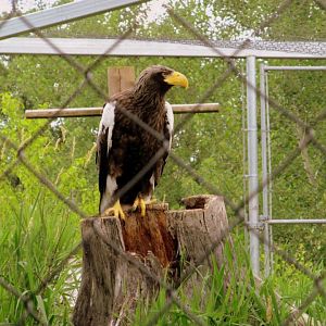 Assiniboine Park Zoo - july 2013