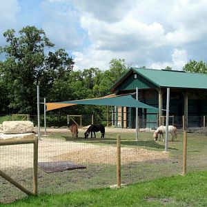 Assiniboine Park Zoo - july 2013