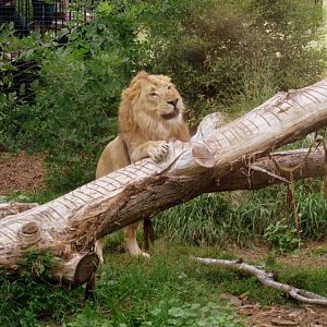 Assiniboine Park Zoo - july 2013