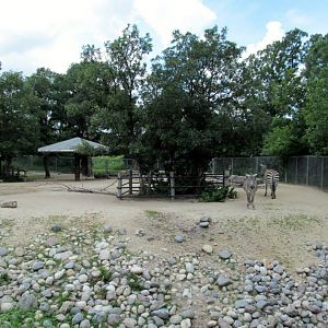 Assiniboine Park Zoo - july 2013