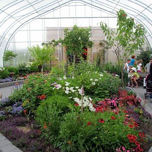 Assiniboine Park Zoo - july 2013