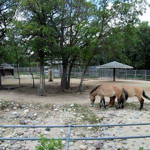 Assiniboine Park Zoo - july 2013