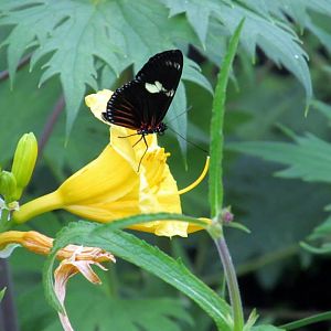 Assiniboine Park Zoo - july 2013