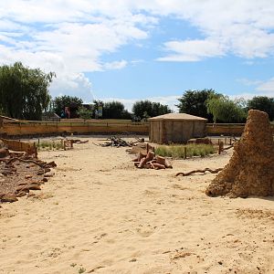 Desert Springs - Completed Meerkat exhibit