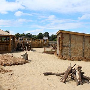 Desert Springs - Completed Porcupine exhibit
