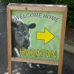 Jul. 2013 - Wildlife Canyon - Welcome Home Harapan