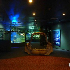 Entrance exhibits, May 2013.