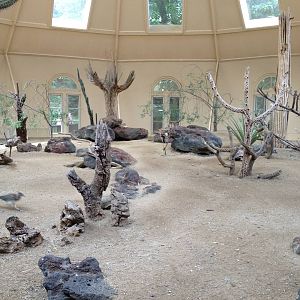 Great Southwest- Roadrunner/Quail/Owl/Tortoise Exhibit