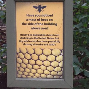 Eastern Woodlands- Honeybee Sign