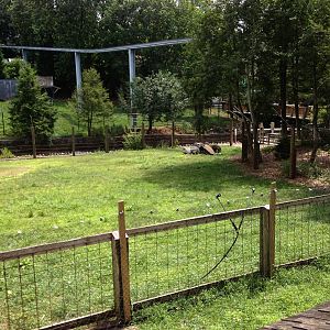 Big Sky Country- Sandhill Crane Exhibit