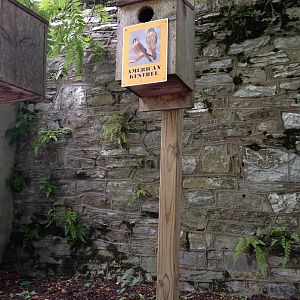 Northlands- Nest Boxes