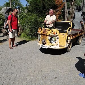 Vehicle in the zoo