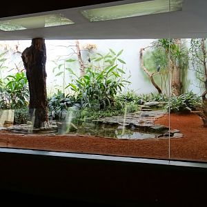 Container of Egretta picta and Pluvianus aegiptus