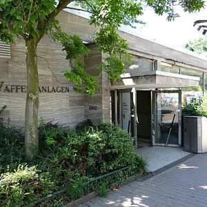 Pavilion of smaller monkeys