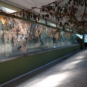 Pavilion of smaller monkeys