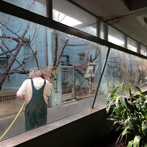 Pavilion of smaller monkeys