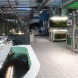 Back of the aquarium