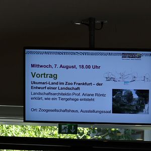 Advertisement of the coming party