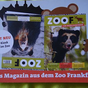 Advertisement zoo of the magazine