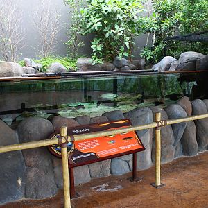 Rivers of the World - Murray River