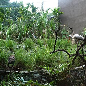 Rivers of the World - Mekong River