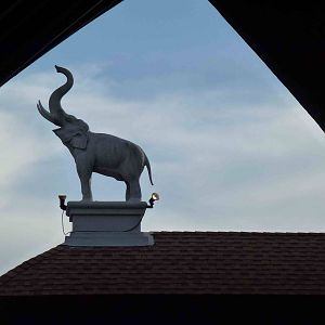 Roof design, June 2013.