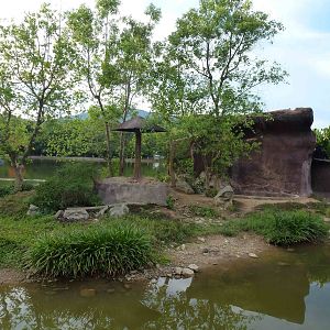 Chimpanzee island, June 2013.