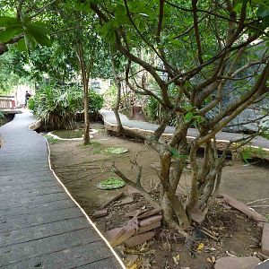 Turtle walk, June 2013.