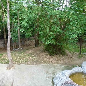 A small part of the white tiger enclosure, June 2013.