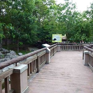 Malayan tapir walkway, June 2013.