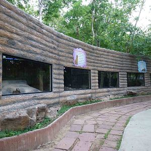 African cat viewing area, June 2013.