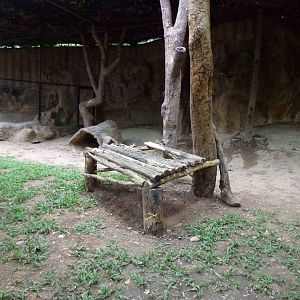 Serval enclosure, June 2013.
