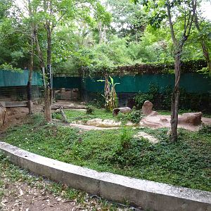 Fishing cat enclosure, June 2013.