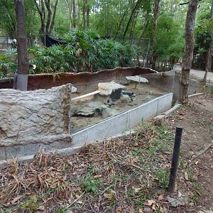 Meerkat enclosure, June 2013.