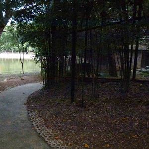 Safety first, June 2013.