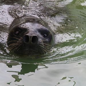 2013 Mar del Plata Aquarium