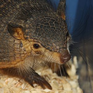 2013 Temaiken Bioparc