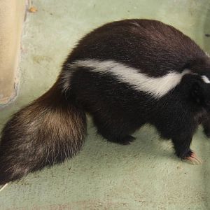 2013 Temaiken Bioparc