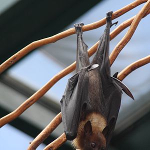 2013 Temaiken Bioparc